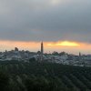 Vista paisajista (6)